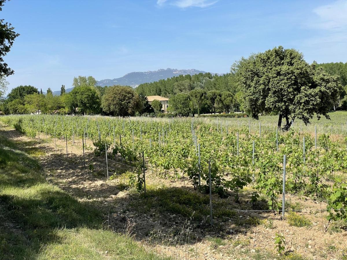 Chateau Talaud Loriol-du-Comtat Ngoại thất bức ảnh